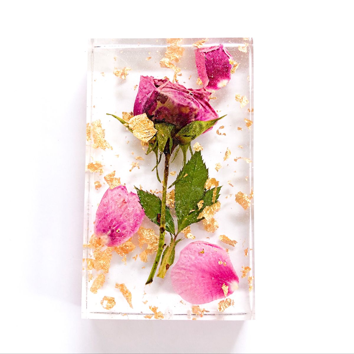 Say It with Roses